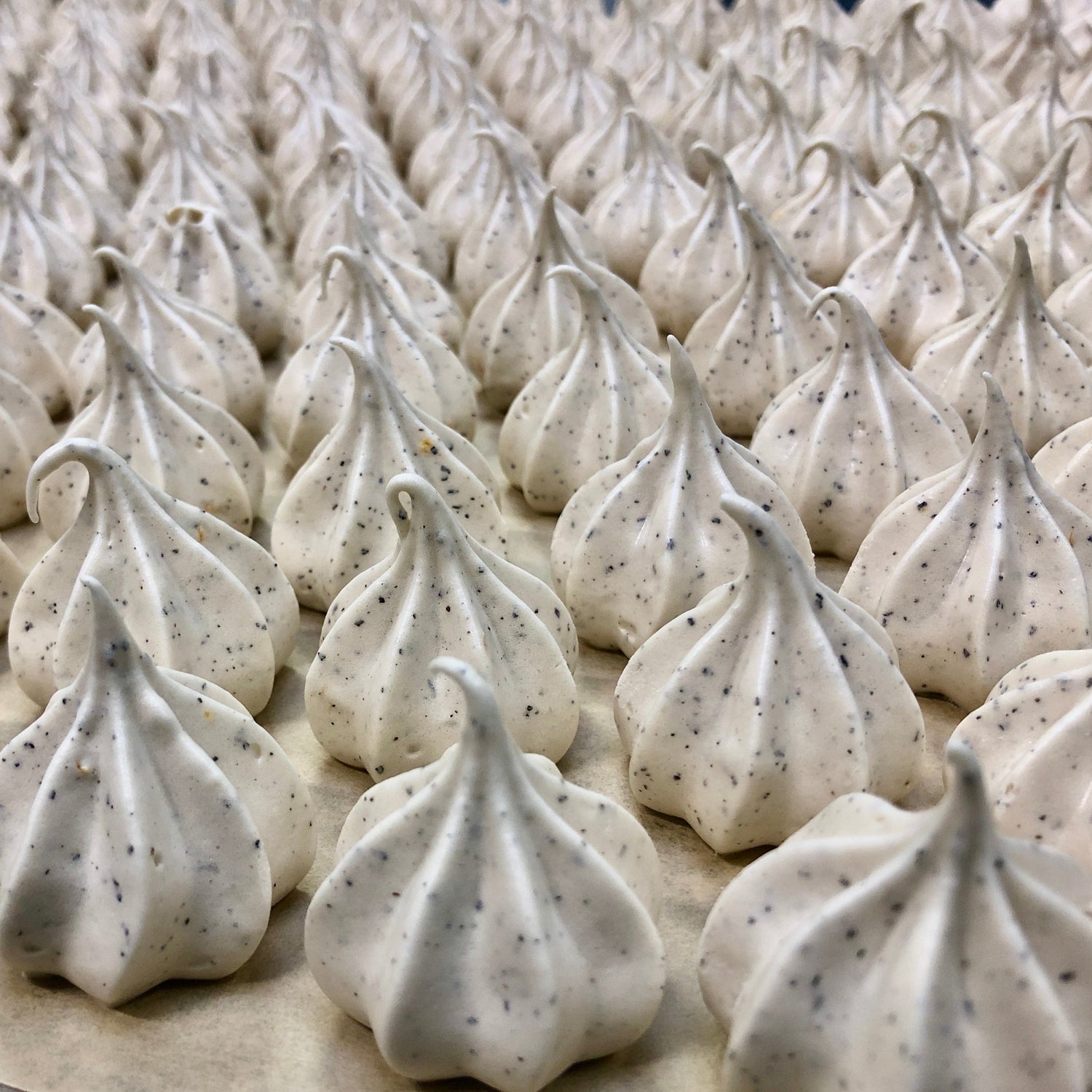 EC Confections - SoDo Donuts x EC Confections - 