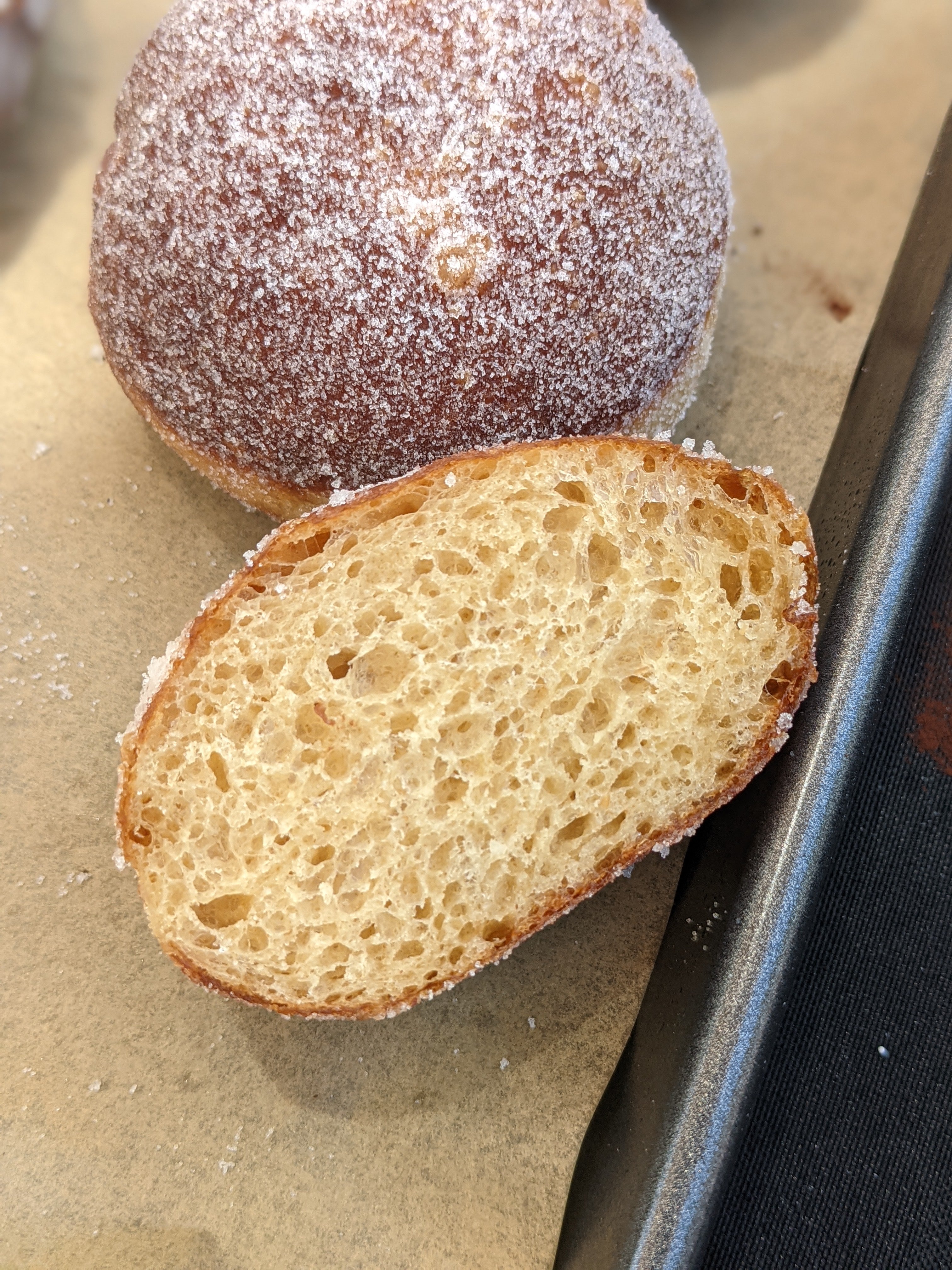 A sugar donut, cut in half to see the sourdough crumb