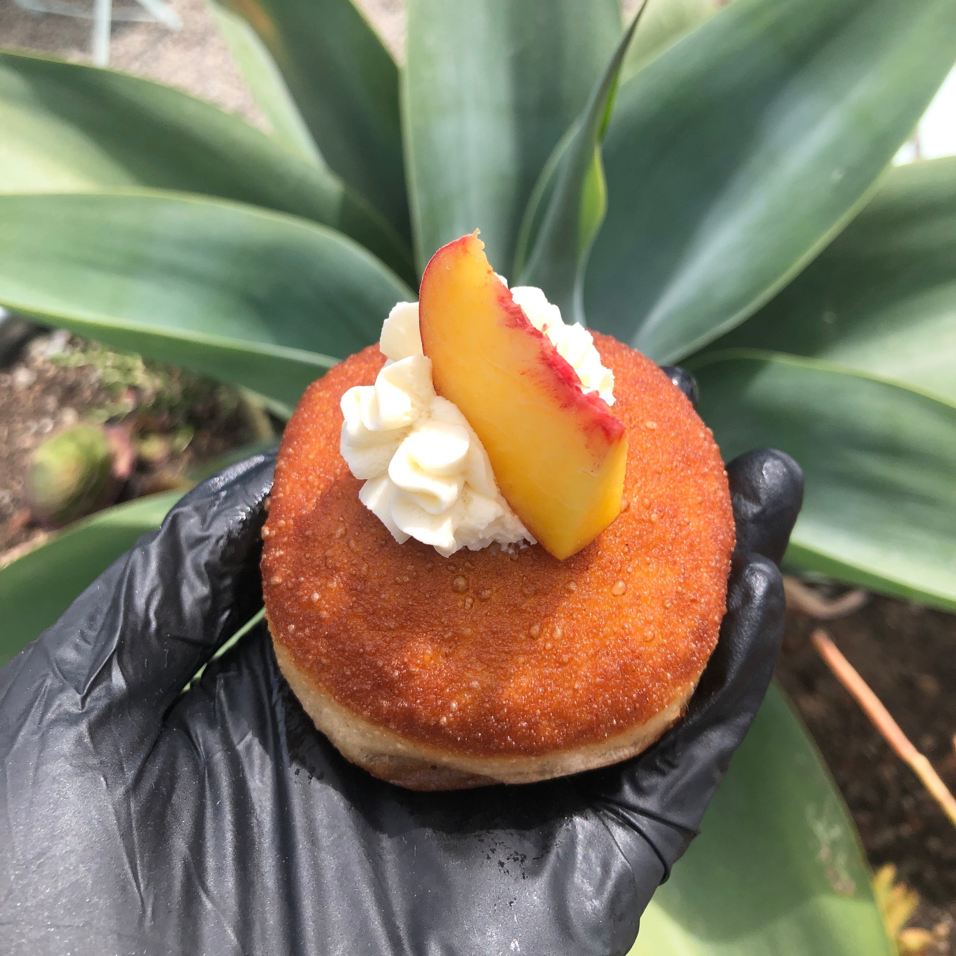 Peach + Blackberry Jam - SoDo Donuts x EC Confections - 